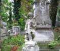 /album/fotogalereya/lichak-jpg/